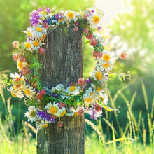Load image into Gallery viewer, Mothersong Chorus -Summer Solstice Retreat 2026