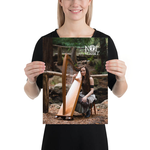 Harp in the Woods - 12 x 16 Matte Poster